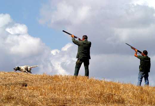 Caccia Si Riaccende La Polemica Approdo Calabria