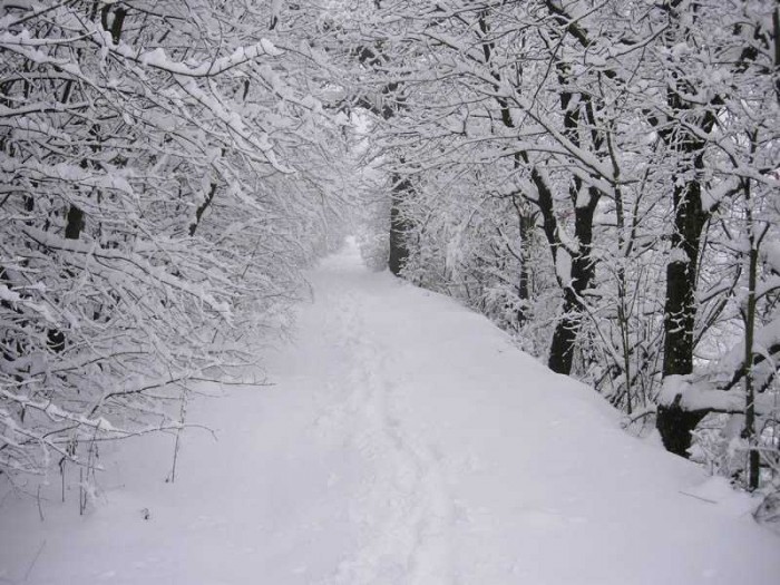 Un metro di neve in Sila, freddo altrove