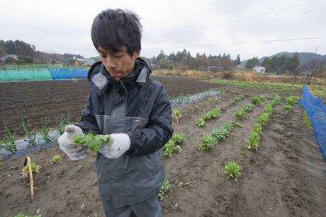 Fukushima: ancora vapore dai reattori, “grave contaminazione del cibo”