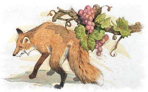 Della volpe e dell’uva (in una Calabria al tracollo e senza speranza)
