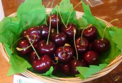 Terroir, Roseto celebra il suo “Oro rosso” Nel weekend la festa delle ciligie