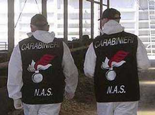 Natale: i Nas sequestrano 50 tonnellate di pesce scaduto