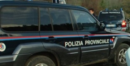 polizia provinciale