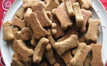 Possibili arrivi dalla Cina di snack tossici per i cani