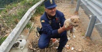 cuccioli salvati_da_polizia_prov
