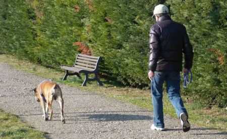 Le regole per chi va al parco col il cane Ecco il decalogo stilato dall'Aidaa