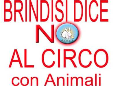 Vittoria Aidaa: a Brindisi il circo con animali ha le ore contate