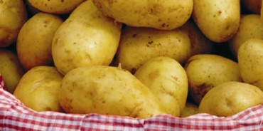 patate di_s._eufemia_daspromonte