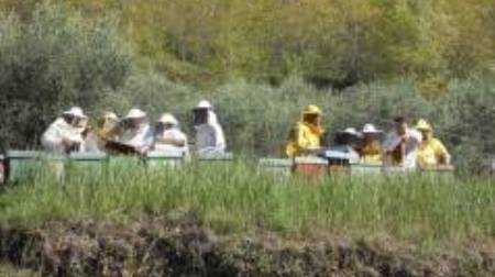Grande successo per il corso di apicoltori organizzato dalla Fai Calabria