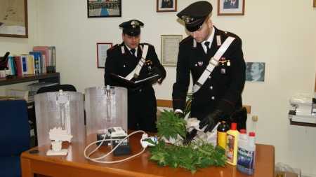 Mammola, i carabinieri rinvengono un’abitazione adibita a coltivazione di canapa indiana