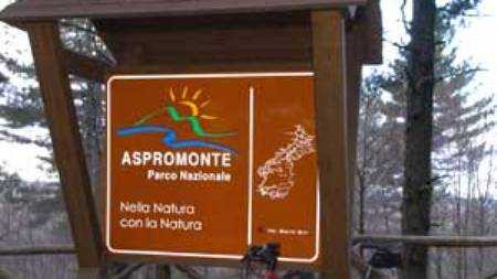 “Il Corpo Forestale dello Stato sempre attivo sul territorio dell’Aspromonte” Il Presidente del parco Bombino commenta la distruzione di una piantagione di canapa indiana in località Marcuci 