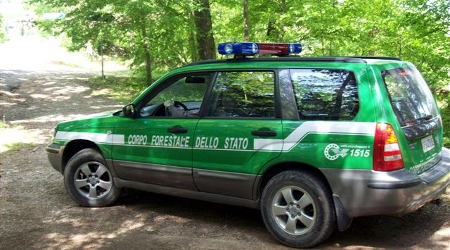 Taglio in bosco neoformato, due denunce Comminata dal Corpo forestale dello Stato una sanzione per 4.500 euro. Scoperta strada abusiva