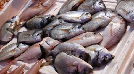 Controlli su tutta la filiera ittica calabrese. Scoperti 5 quintali di pesce mal conservato e frodi nella vendita