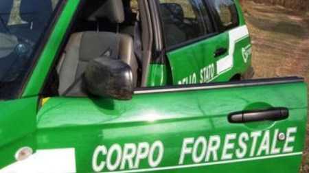 Sequestrato fabbricato abusivo nel Crotonese Intervento del Corpo forestale dello Stato. Opera realizzata senza alcuna concessione