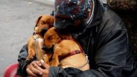 Roma, Raggi apra Campidoglio a clochard con i cani E' quanto chiede l'Aidaa per proteggere i senza tetto dal freddo