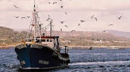 Pescatori calabresi in Galizia per una sessione formativa Studiate nuove tecniche innovative di pesca selettiva del tonno