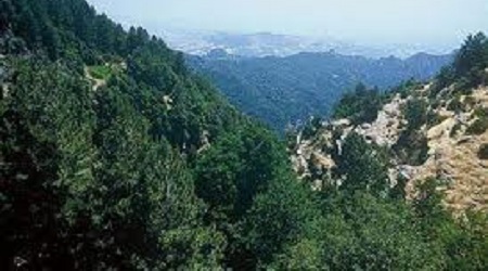 Il Parco Nazionale d’Aspromonte parteciperà al processo di “metropolinizzazione”