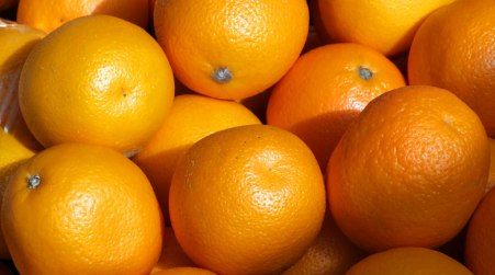 Per la Federazione Russa le arance egiziane sarebbero pericolose