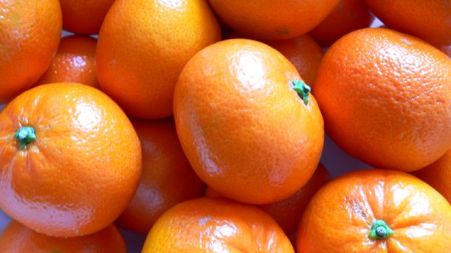 Le Clementine di Corigliano domenica sulle tavole della Brianza Manifestazione dedicata a tutti i produttori del settore eno-gastronomico