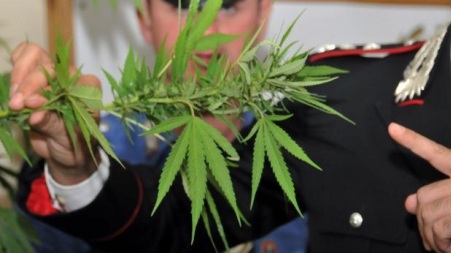 Coltivava marijuana in un’ex scuola, arrestato dai carabinieri nel Crotonese Il blitz è stato portato a termine dai carabinieri della Stazione di Botricello nel territorio a confine tra le due province
