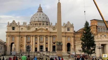 A San Pietro l’abete donato dalla Provincia di Catanzaro Il 19 dicembre una delegazione calabrese sarà ricevuta dal papa prima dell’accensione delle luci
