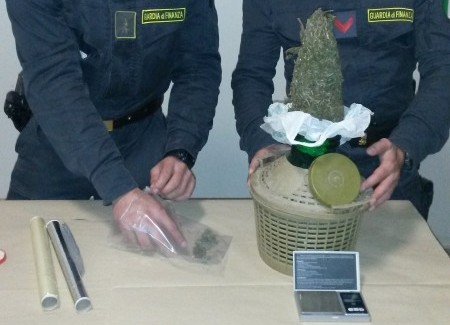 Arrestato giovane lametino per spaccio di stupefacenti Deteneva 253 grammi di marijuana nascosti dentro una damigiana