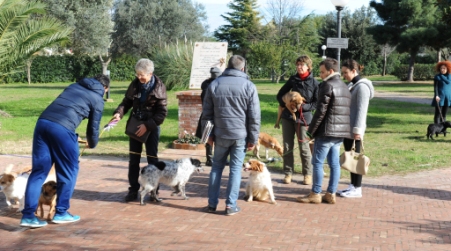 Adozione cani, appuntamento mensile a Corigliano Calabro Una domenica al mese. La prossima è l’8 febbraio. Chiurco: "Grazie al lavoro dello staff del Varca group"