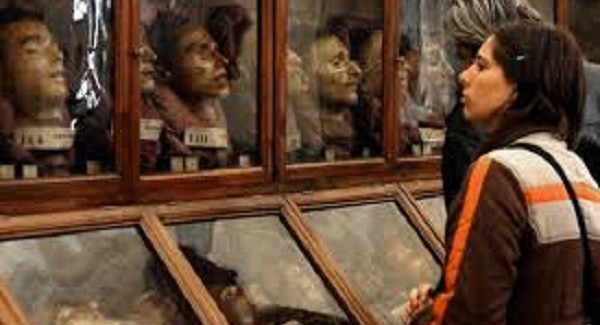 La Regione Calabria in visita al “Museo Cesare Lombroso” Lì è esposto anche il cranio del brigante calabrese Giuseppe Villella