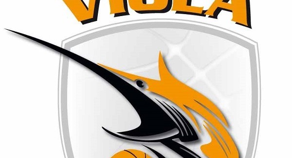 Incontro tra amministratore unico Viola Basket e Falcomatà Illustrati i dettagli operativi del piano di investimenti che la società ha promosso sul progetto sportivo per il rilancio della società sportiva