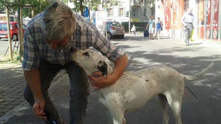 Milano, avvelenato il cane di un clochard in piazza Diocleziano Aidaa denuncia: "Fatto vergognoso"