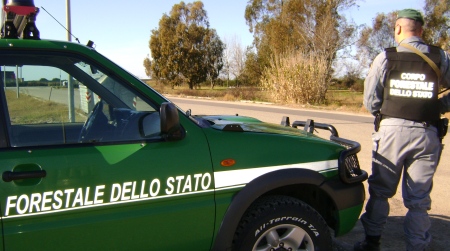 Reggio, denunciato per incendio boschivo colposo Controlli del Comando Provinciale C.F.S. 