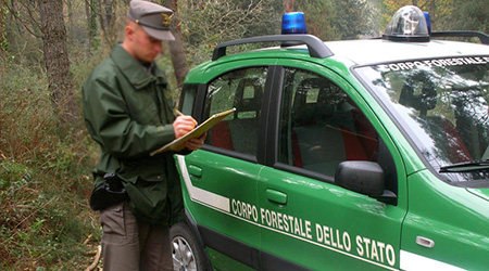 Nel 2015 1.067 controlli del Corpo forestale sui boschi Tracciato il bilancio delle attività: tre arresti per incendi dolosi