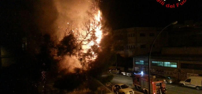 Reggio Calabria, un petardo crea un vasto incendio Sul posto i vigili del fuoco