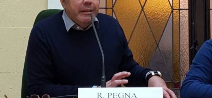 Lamezia, la replica di Ruggero Pegna alle dichiarazioni di Vincenzo Sofo L'europarlamentare della Lega contrario alla candidato per il centrodestra