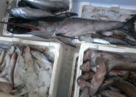 Mezzo quintale di pesce sequestrato nel Cosentino Commerciante ambulante lo vendeva senza precauzioni