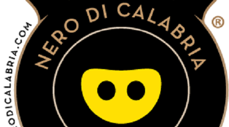Reggio, convegno su valorizzazione suino nero di Calabria Il progetto ha consentito di raggiungere importanti traguardi sia dal punto di vista scientifico che operativo