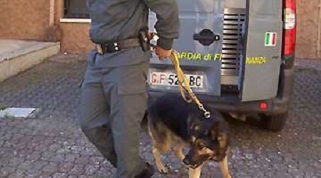 Donna corriere della droga fermata a Lamezia Terme Il cane antidroga ha fiutato la droga nella valigia