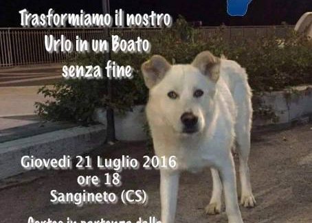 Cane ucciso a Sangineto, domani manifestazione I volontari calabresi e le associazioni promuovono una marcia per chiedere giustizia 