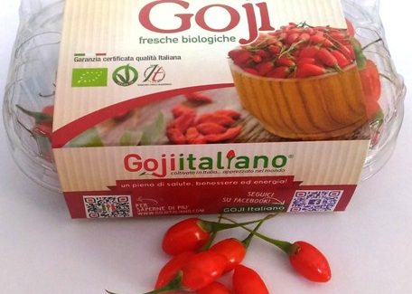 Il goji italiano a Golosaria Milano dal 5 al 7 novembre In anteprima la presentazione delle confetture nutraceutiche il 4 novembre a Bio.it