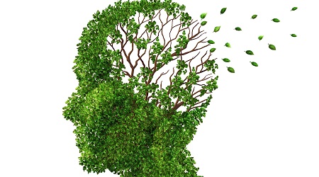 Giornata Mondiale Alzheimer: mostra a Lamezia Terme Si punta a sensibilizzare l’opinione pubblica sul tema delle demenze