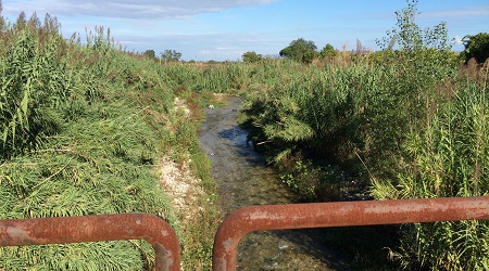 “Intollerabile abbandono aste fluviali nel reggino” Lo dichiara il sindaco di Polistena, Michele Tripodi