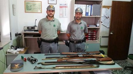 Cinghiali abbattuti illegalmente, denunce nel cosentino Sequestrati tre fucili da caccia, munizioni e alcune torce