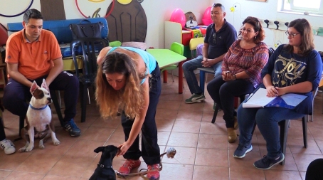 Reggio Calabria, al via il progetto “Dottor dog” Corso per l'addestramento di cani da allerta diabete
