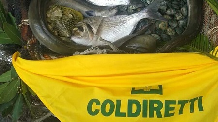 Ricerca idrocarburi nei fondali della marini del crotonese Coldiretti Impresa Pesca chiede ferma presa di posizione da Regione e Amministrazioni Locali