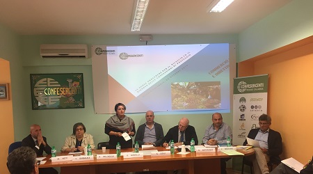 Reggio Calabria, convegno sulla normativa Bolkestein L'applicazione riguarderà il commercio su aree pubbliche