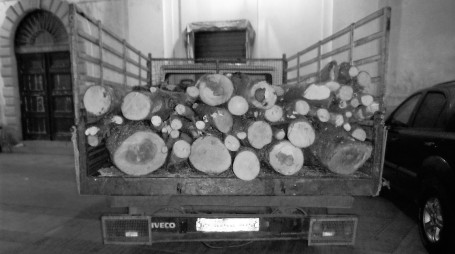 Furto di legna a San Giorgio Morgeto, denunciato 40enne L'uomo aveva tagliato alberi di faggio in una proprietà privata ricadente nell'area del Parco nazionale d'Aspromonte