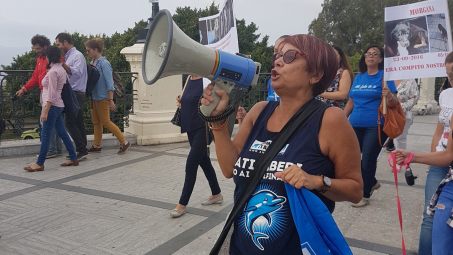 Reggio, manifestazione per la tutela dei diritti degli animali Catania (Animalisti italiani onlus): "Le Istituzioni ci hanno snobbato"