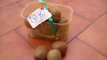 I kiwi della beneficenza con il Kiwanis nelle piazze Giunge alla settima edizione “K for k – Kiwi for Kiwanis” contro il tetano materno