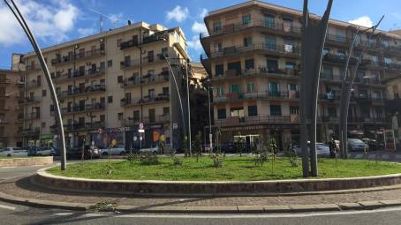 Idea Calabria: plauso al Dipartimento “Verde di Ateneo” Interventi volti a riqualificare le aiuole e le rotatorie