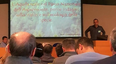 Aspromonte, continua monitoraggio Aquila Reale Risultati sullo stato di conservazione della specie in Italia